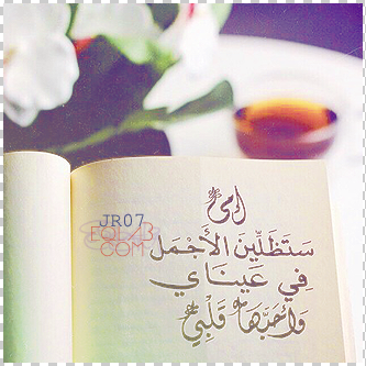  💛 bntpal_1488964734_62