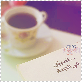  💛 bntpal_1488964737_82