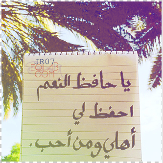  💛 bntpal_1488964740_32