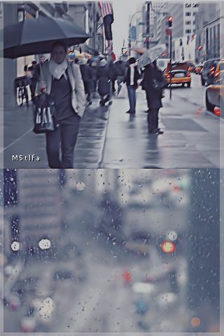 ~ bntpal_1489824144_27