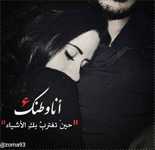 bntpal_1490044013_24