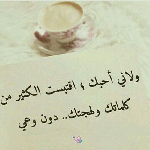 bntpal_1490044013_46