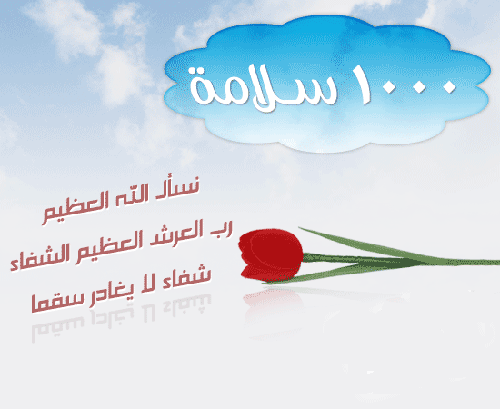  bntpal_1490634890_67