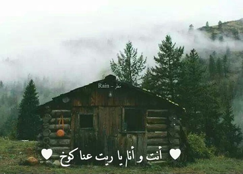  bntpal_1491222274_71