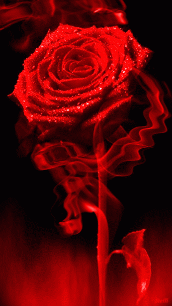  bntpal_1491257249_53