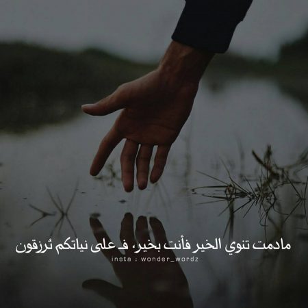 bntpal_1491307814_24