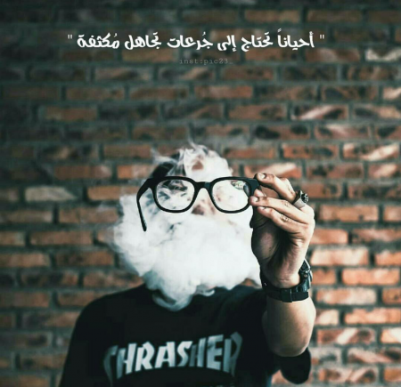 bntpal_1491307814_36