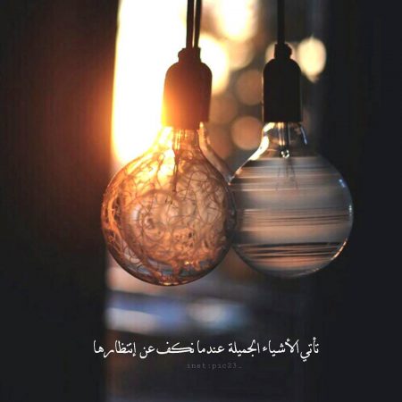 bntpal_1491307815_17