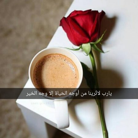 bntpal_1491307815_42