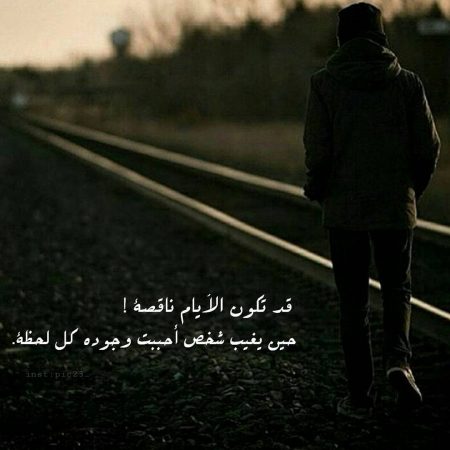 bntpal_1491307816_15