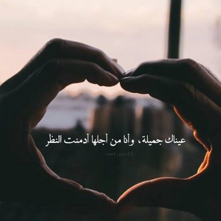 bntpal_1491307817_98