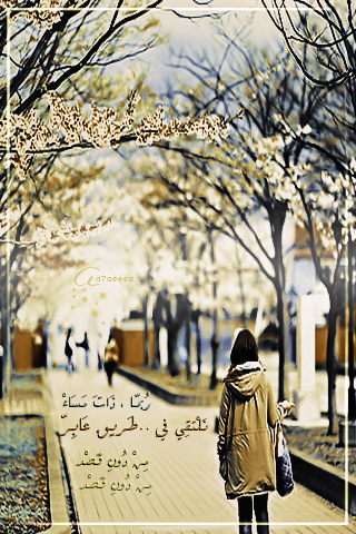 bntpal_1491419913_96
