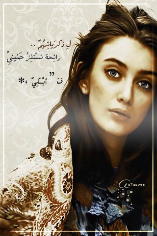 bntpal_1491419923_33