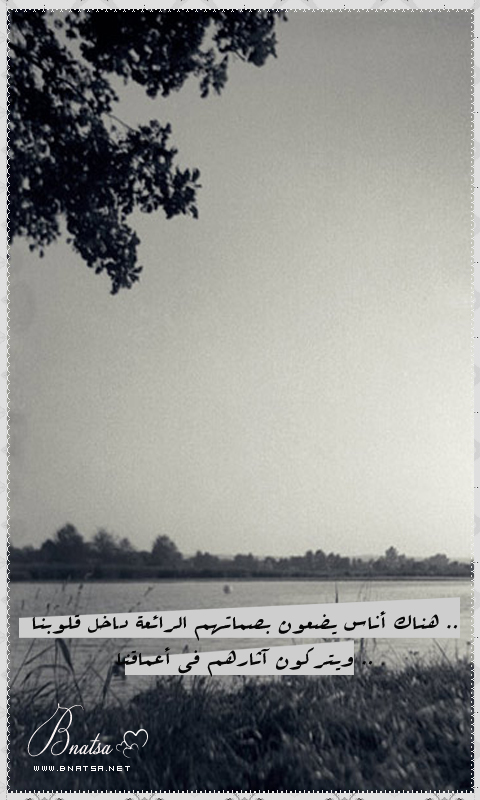bntpal_1491480557_49