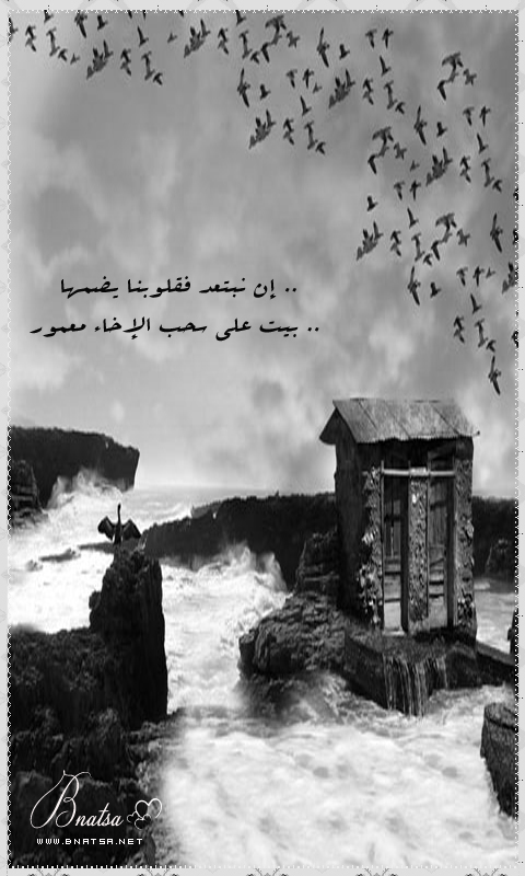 bntpal_1491480560_97