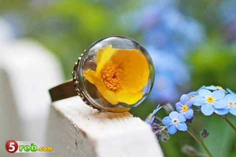 bntpal_1491573956_62
