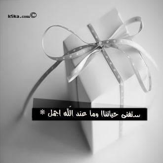 ❤ bntpal_1492188016_26