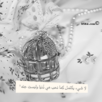 ❤ bntpal_1492188017_77