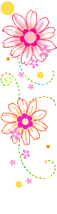 bntpal_1492255849_28