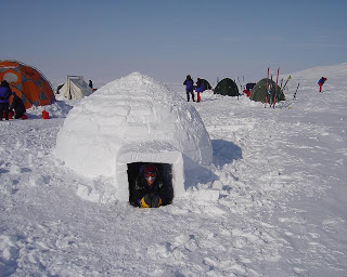  bntpal_1493412972_32