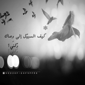 💔 bntpal_1493547981_49