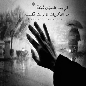 💔 bntpal_1493547982_33