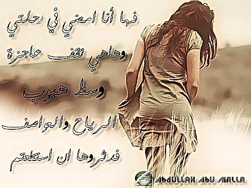  bntpal_1493665304_88