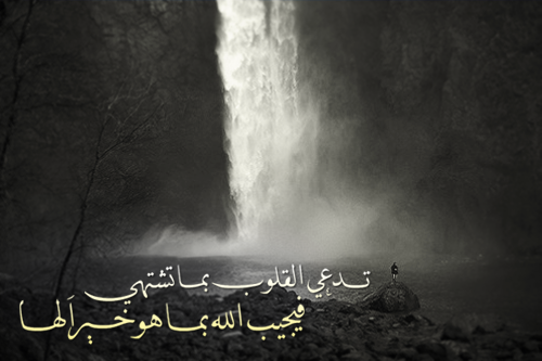 bntpal_1494571852_80