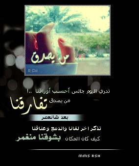 bntpal_1494573507_56