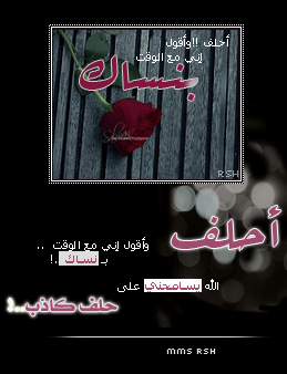 bntpal_1494573508_55