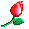 ........... bntpal_1494870703_44