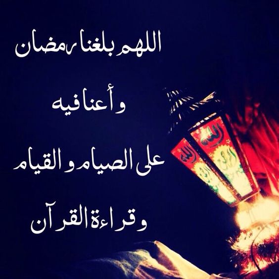 💚 bntpal_1494877681_21