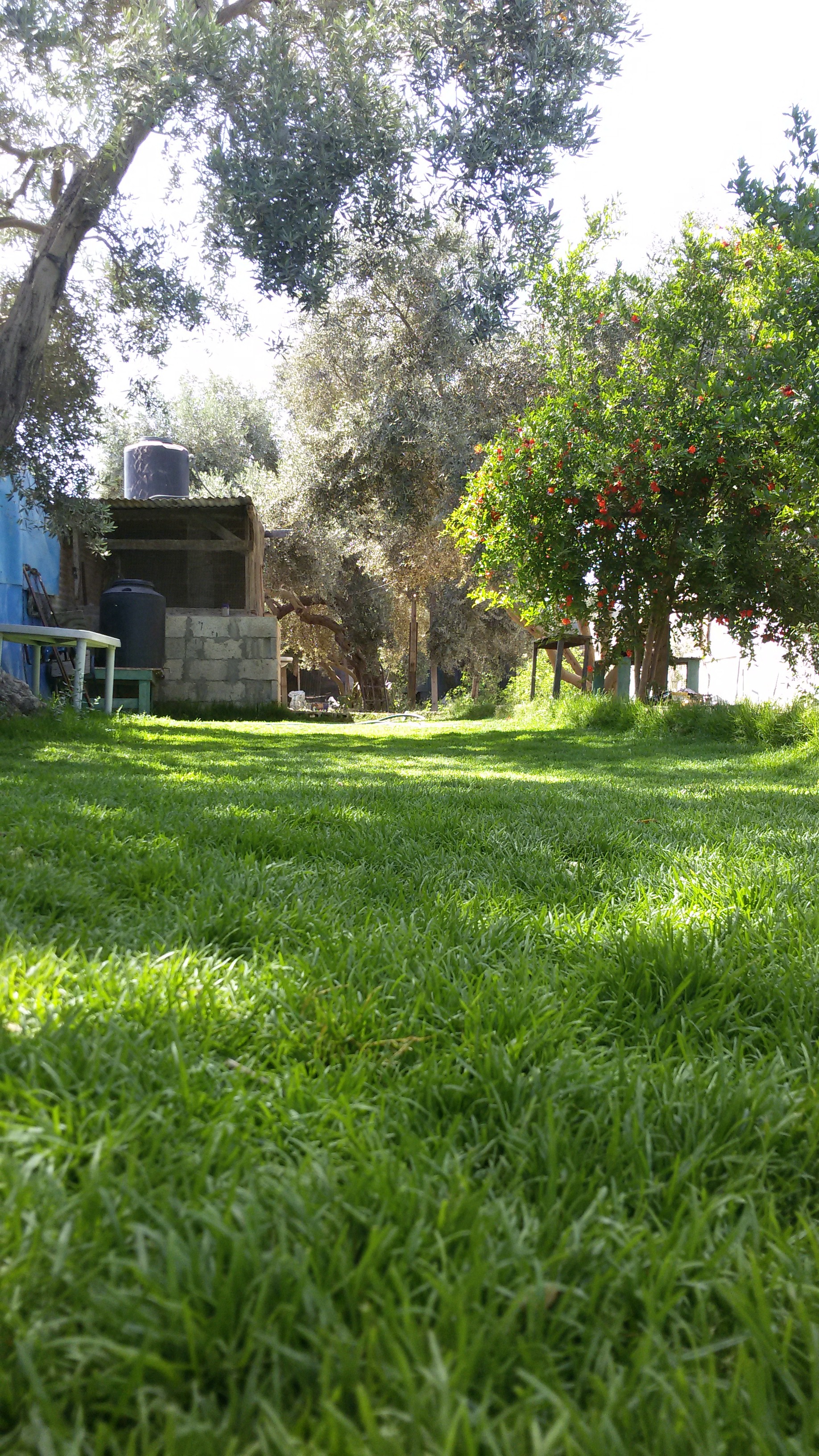 bntpal_1494881861_84