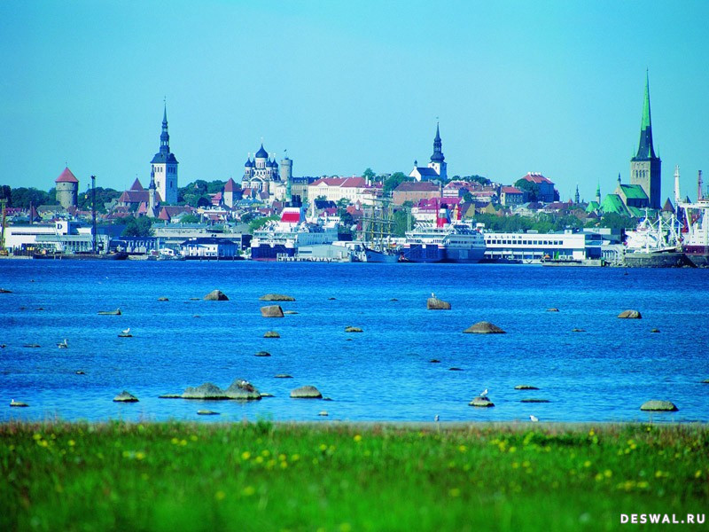 bntpal_1495176698_38