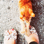 💕 bntpal_1495287660_42