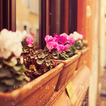 💕 bntpal_1495287662_21