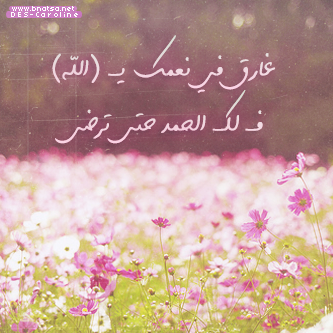 bntpal_1495450893_33