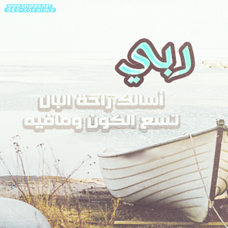 bntpal_1495450896_44