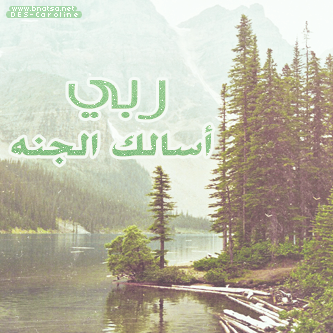 bntpal_1495450897_56