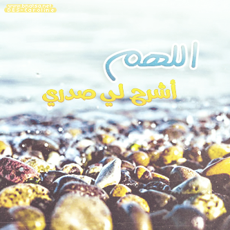 bntpal_1495450898_94