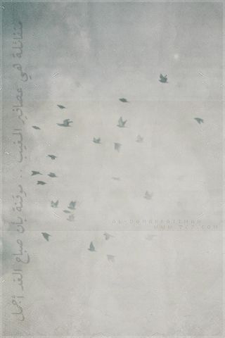 bntpal_1495745377_72