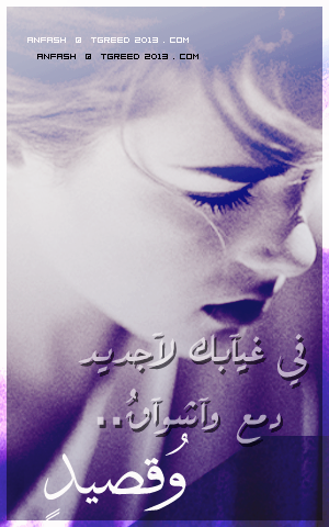 bntpal_1495745381_41