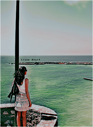 bntpal_1495745383_26