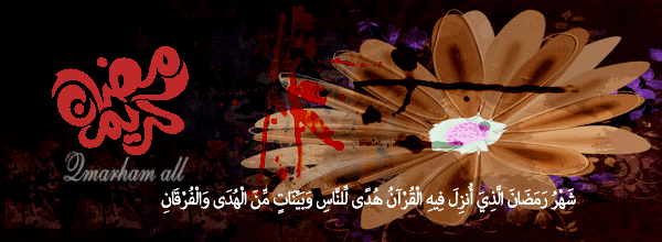 bntpal_1495828587_52