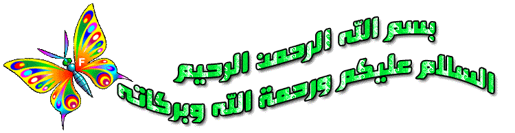 bntpal_1495845022_43