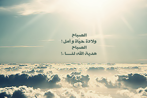 bntpal_1495887073_66