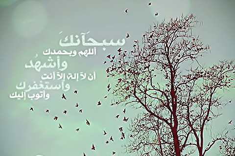 bntpal_1495887074_14