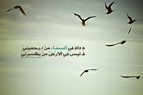 bntpal_1495887074_78