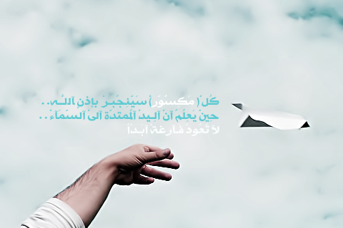 bntpal_1495887075_63