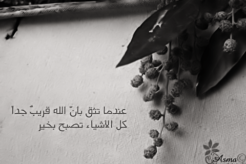 bntpal_1495887076_71